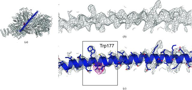 [Figure 4]