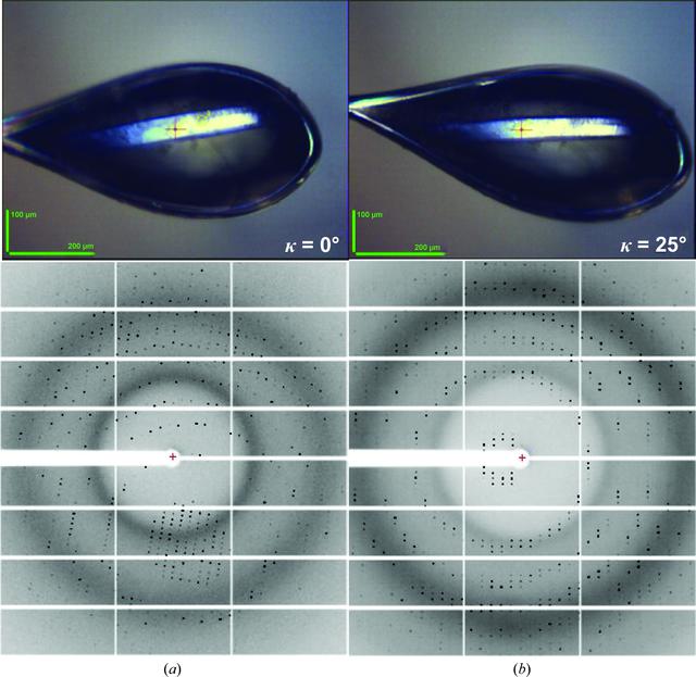 [Figure 4]