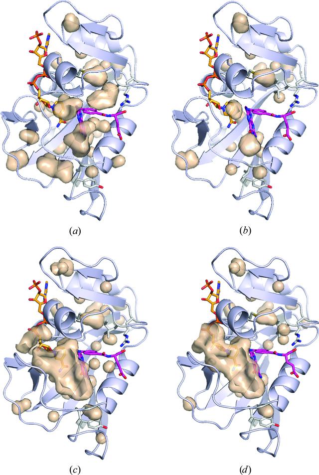 [Figure 1]