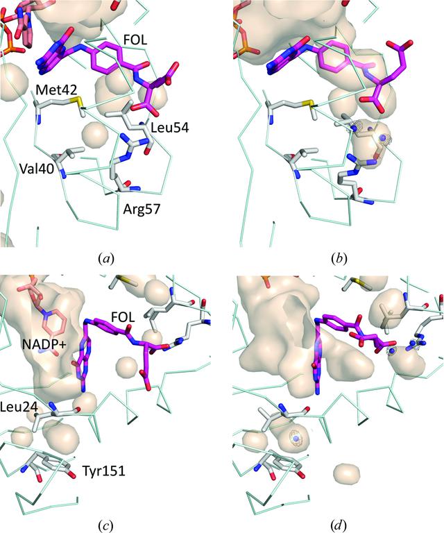 [Figure 3]