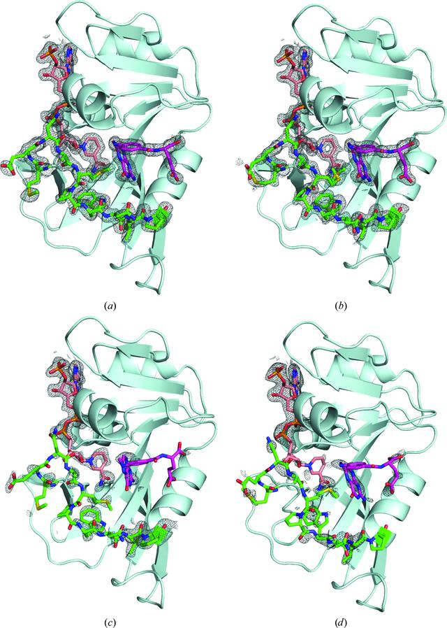 [Figure 4]