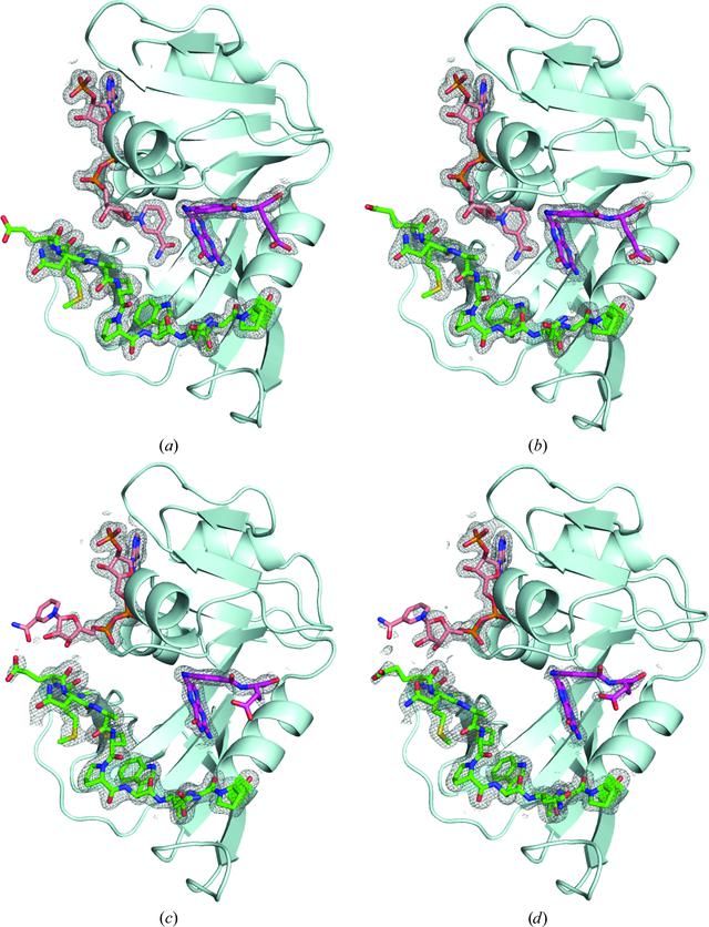 [Figure 5]