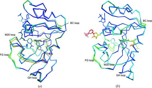 [Figure 6]