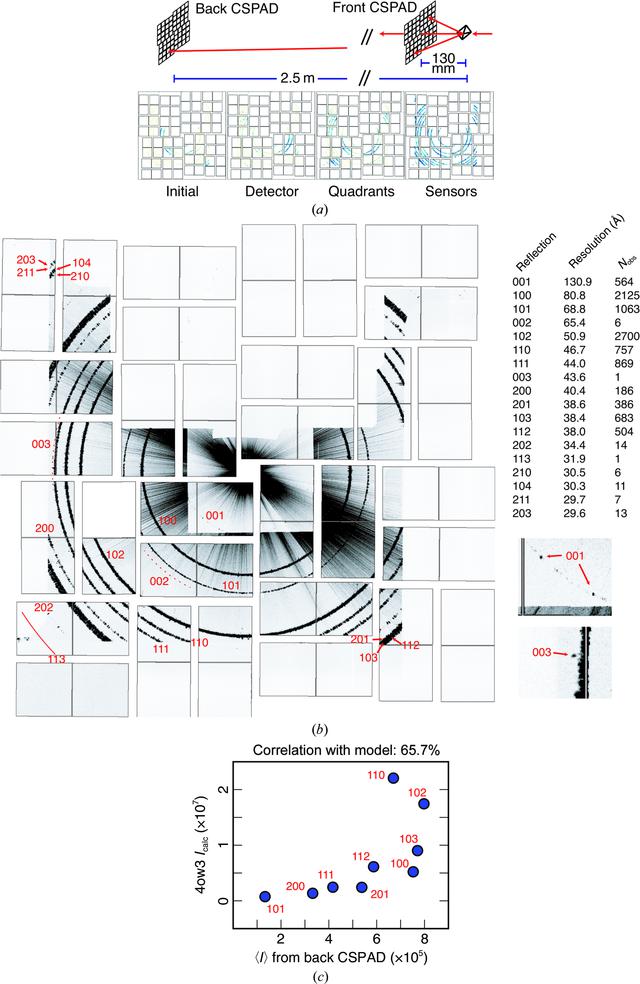 [Figure 5]