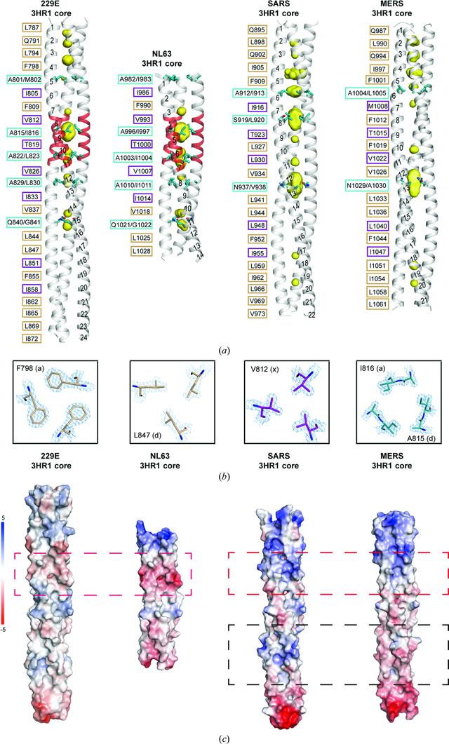 [Figure 2]