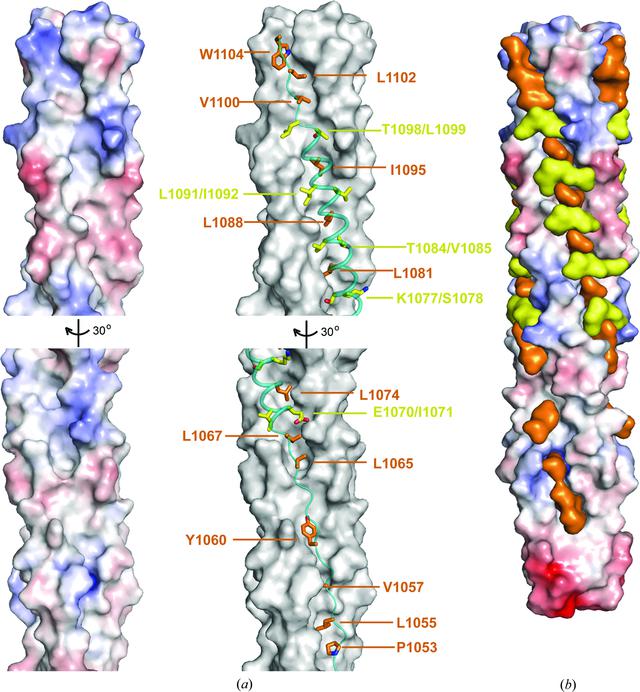 [Figure 3]