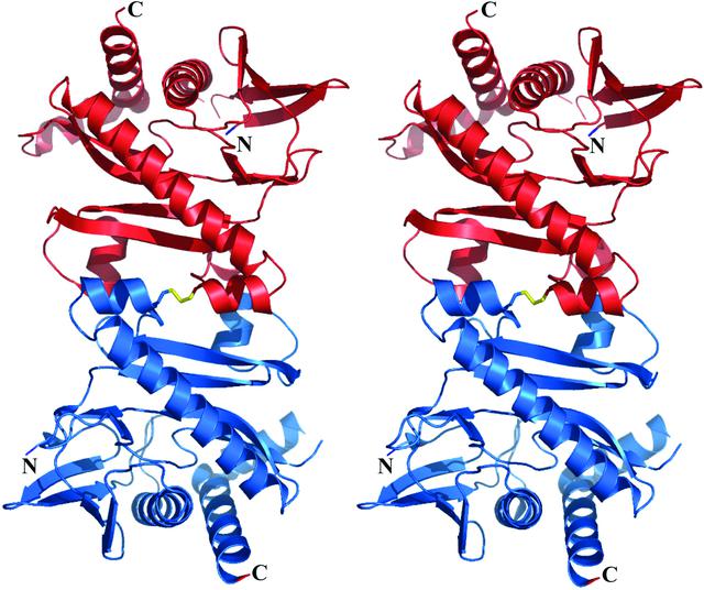 [Figure 3]