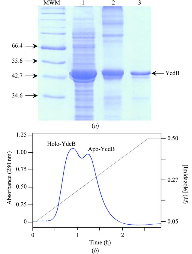 [Figure 1]