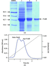 [Figure 1]