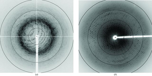 [Figure 3]