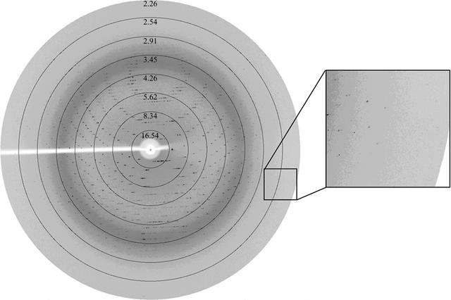 [Figure 2]