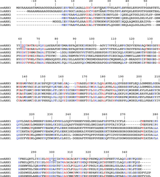 [Figure 5]