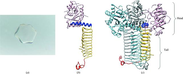 [Figure 1]