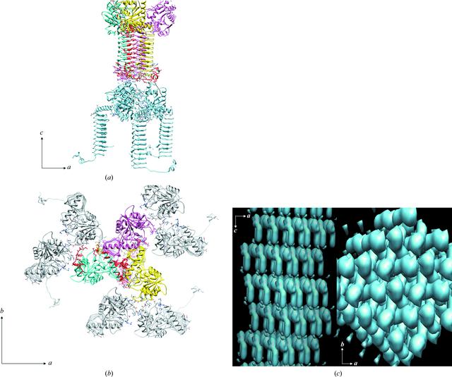 [Figure 3]