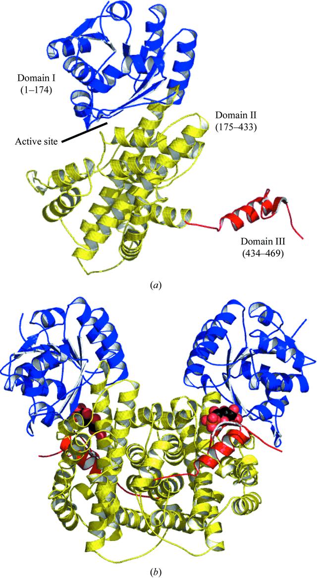 [Figure 1]