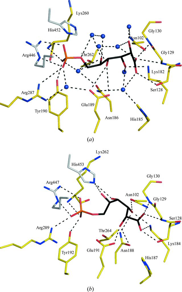 [Figure 3]