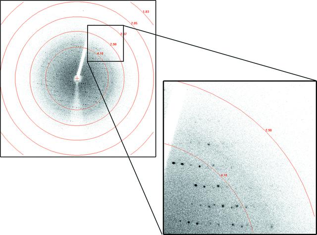 [Figure 2]