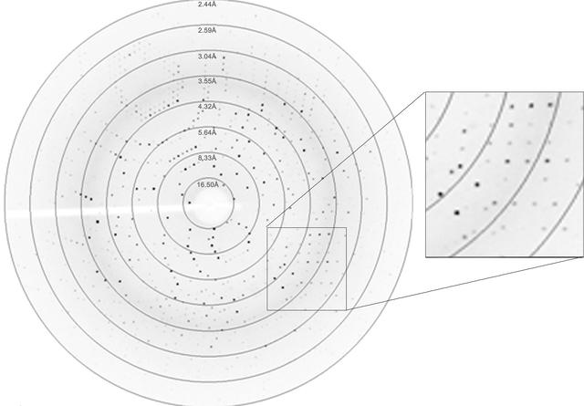 [Figure 2]