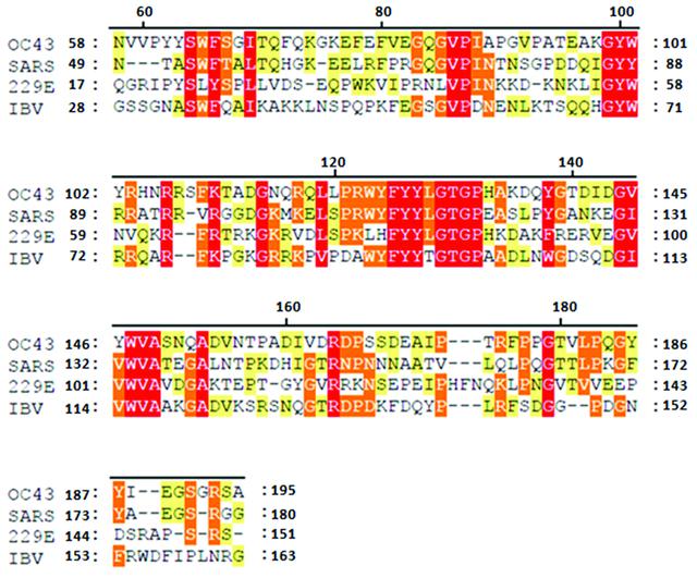 [Figure 4]