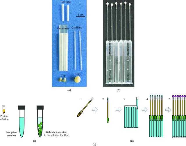 [Figure 1]