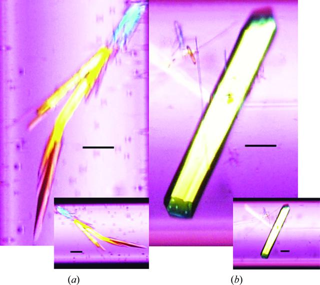 [Figure 2]