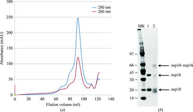 [Figure 2]