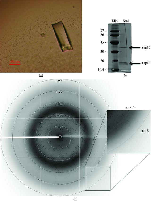 [Figure 3]