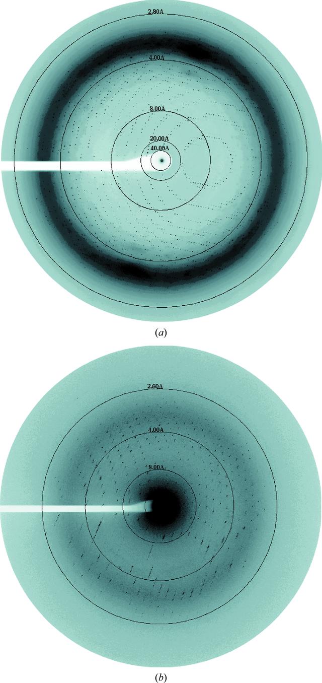 [Figure 3]