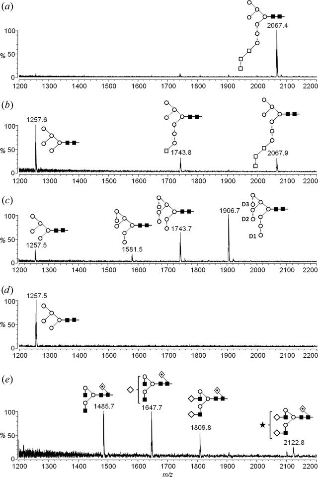 [Figure 2]