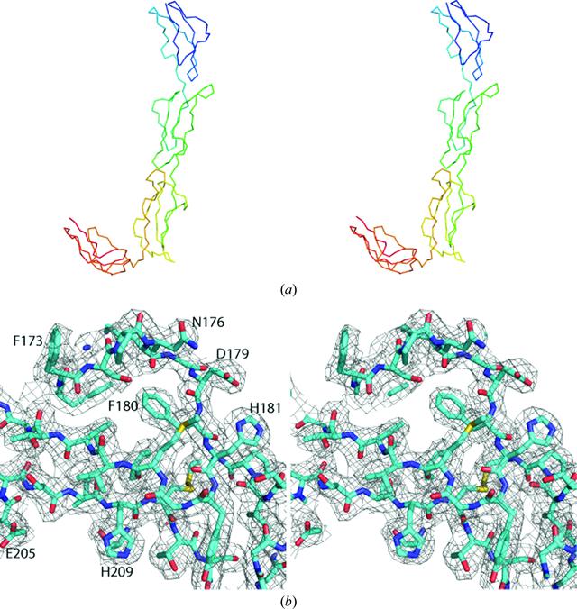 [Figure 1]