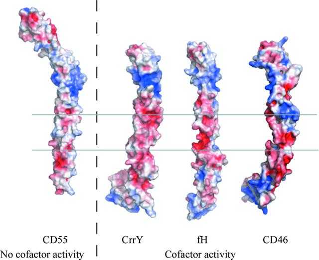 [Figure 3]