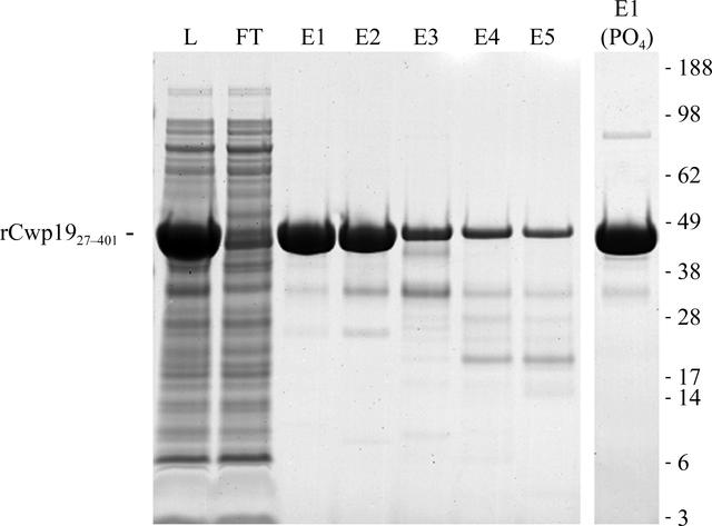 [Figure 1]