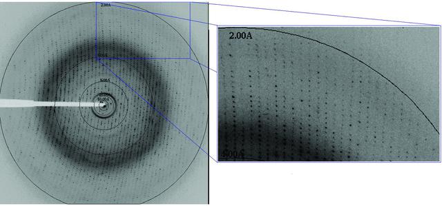 [Figure 3]