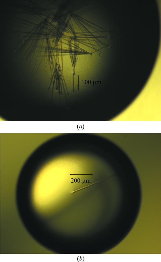 [Figure 2]