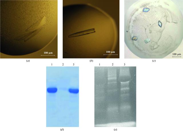 [Figure 2]