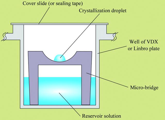 [Figure 4]