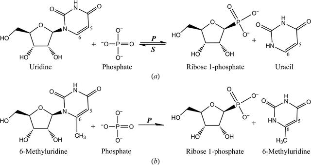 [Figure 1]