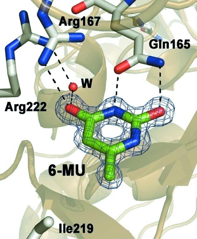 [Figure 3]