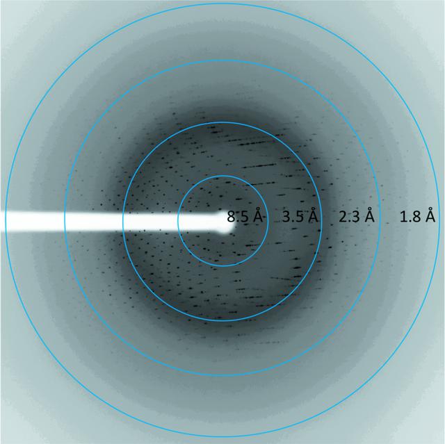 [Figure 2]