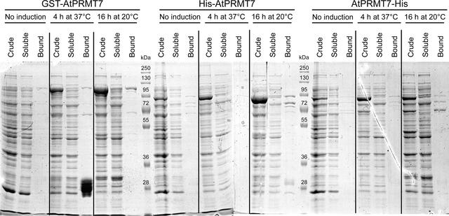 [Figure 1]