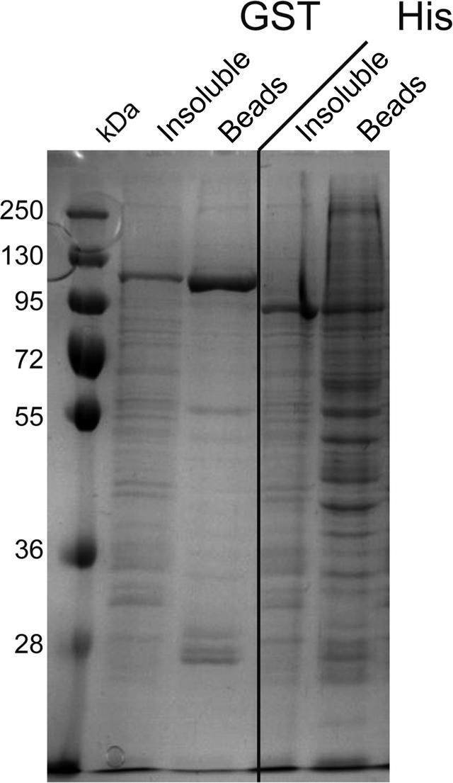 [Figure 2]