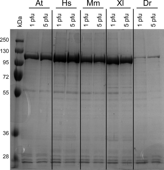 [Figure 3]