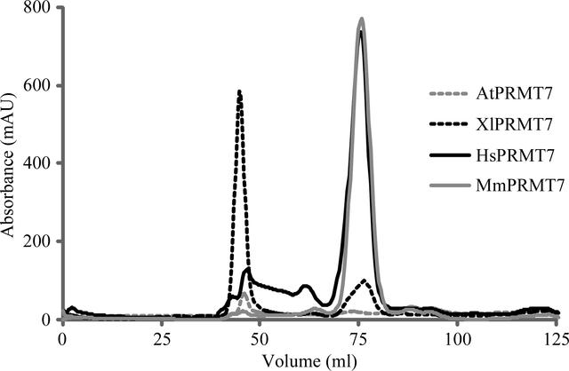 [Figure 4]