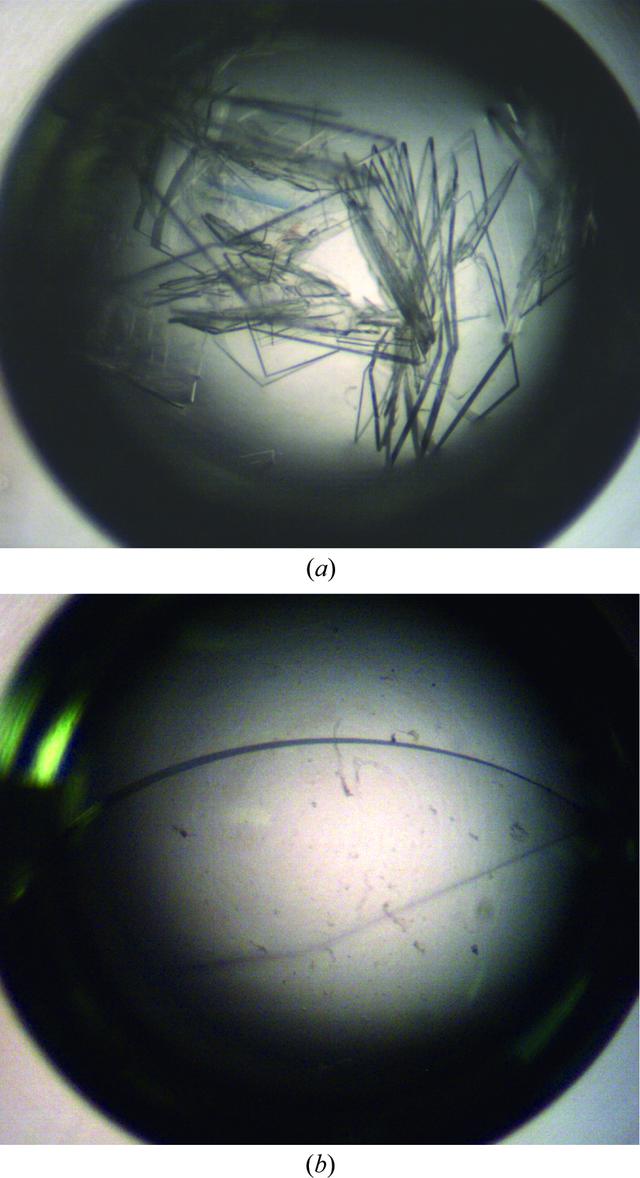 [Figure 2]