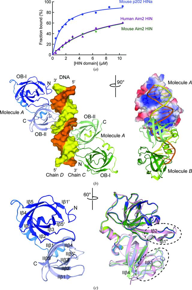 [Figure 1]