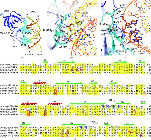 [Figure 2]