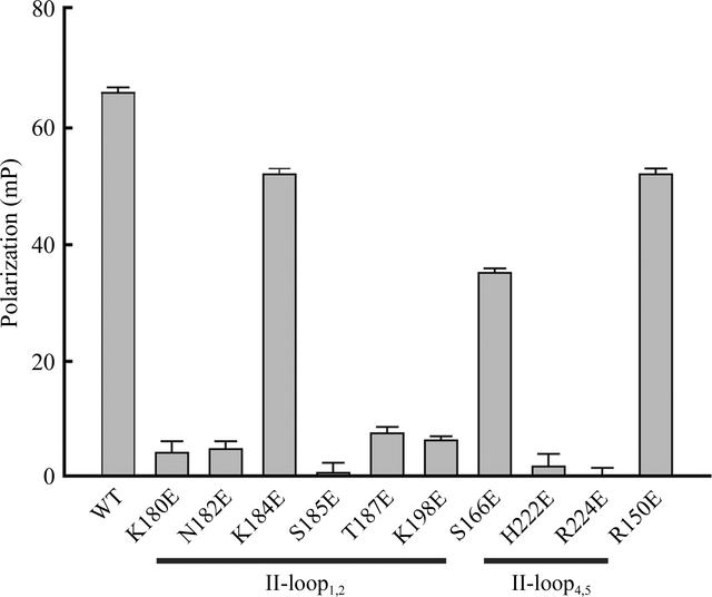 [Figure 3]