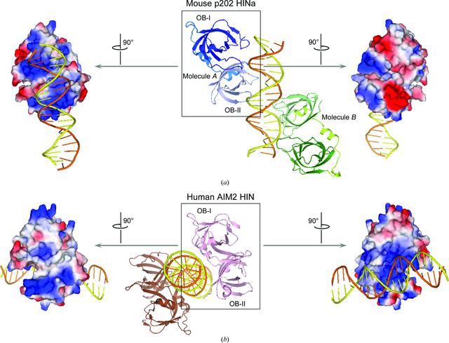 [Figure 4]