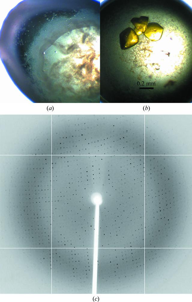 [Figure 3]