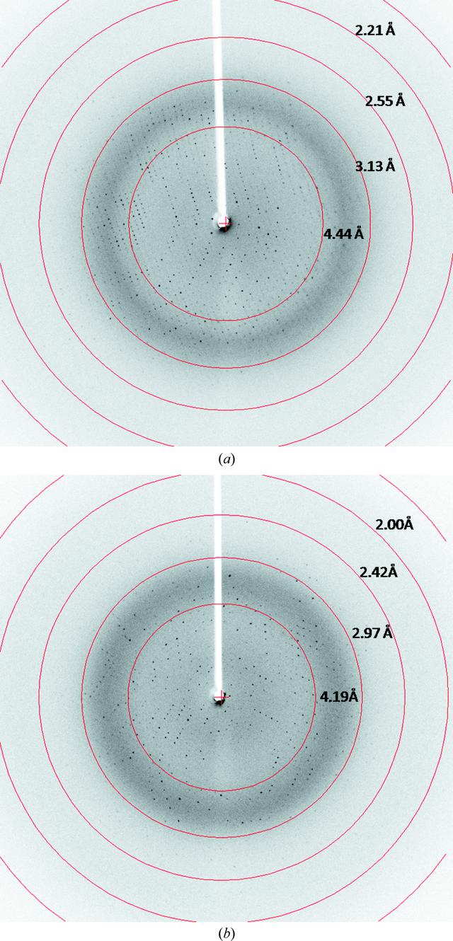 [Figure 2]